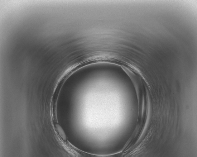 X0000054411034200508051734