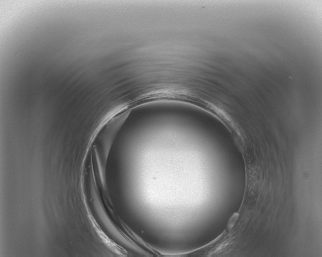 X0000054411042200508051734