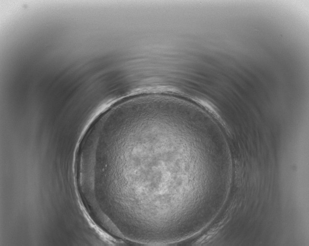 X0000054411046200508051734