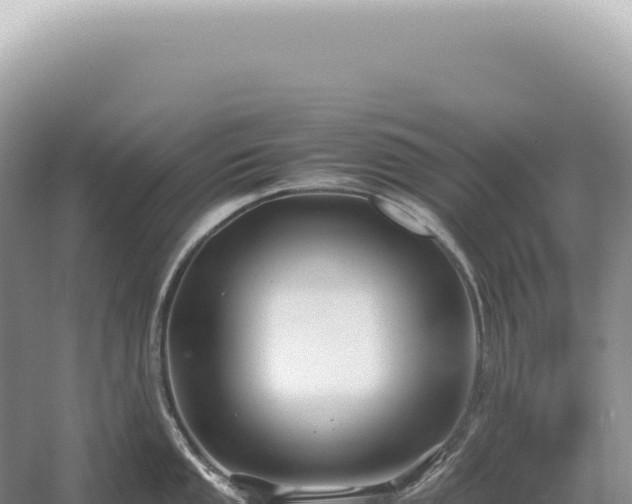 X0000054411053200508051735