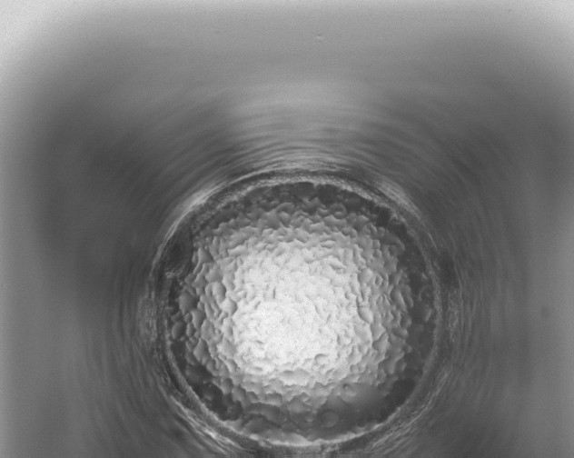 X0000054411067200508051734