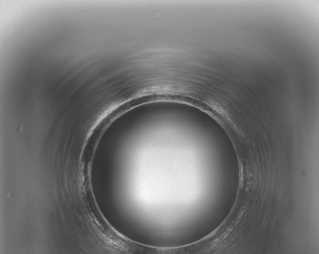 X0000054411070200508051734