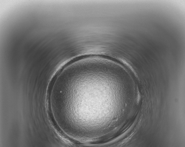 X0000054411077200508051733