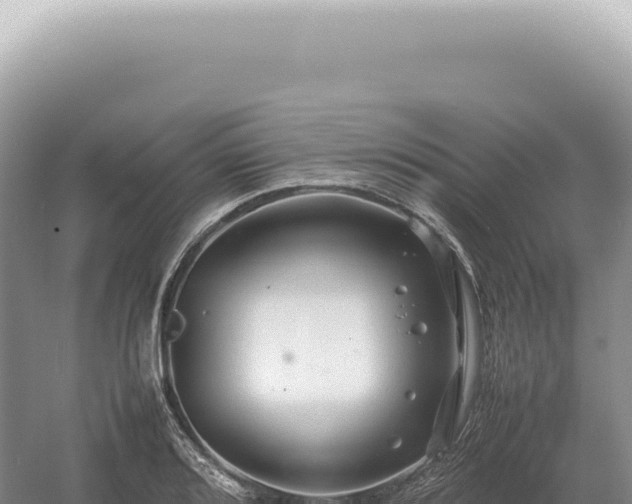 X0000054411080200508051733