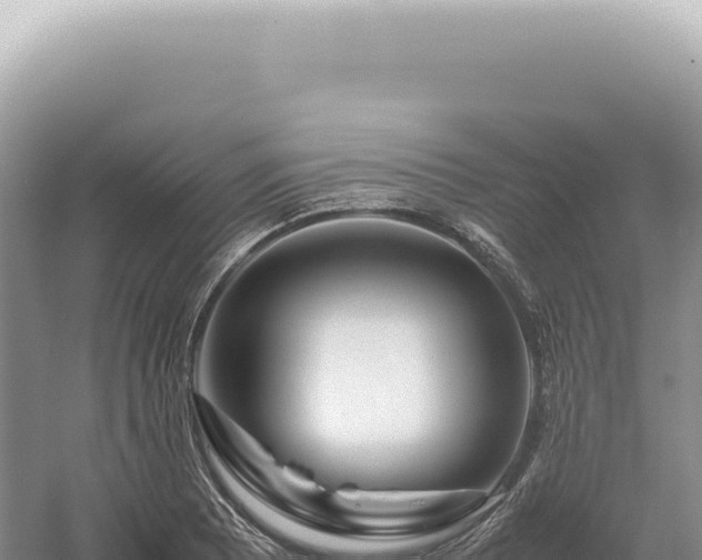 X0000054411081200508051733