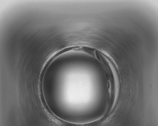 X0000054411085200508051733