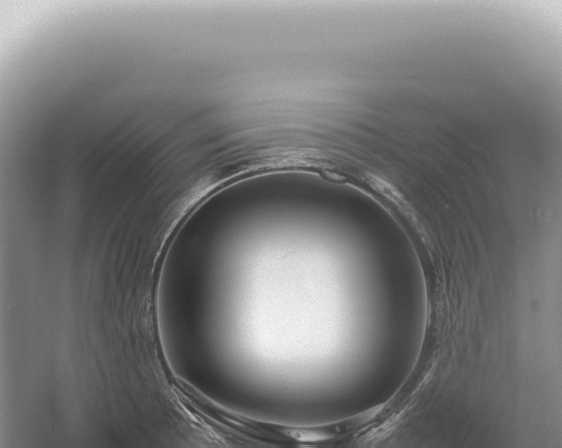 X0000054411089200508051733