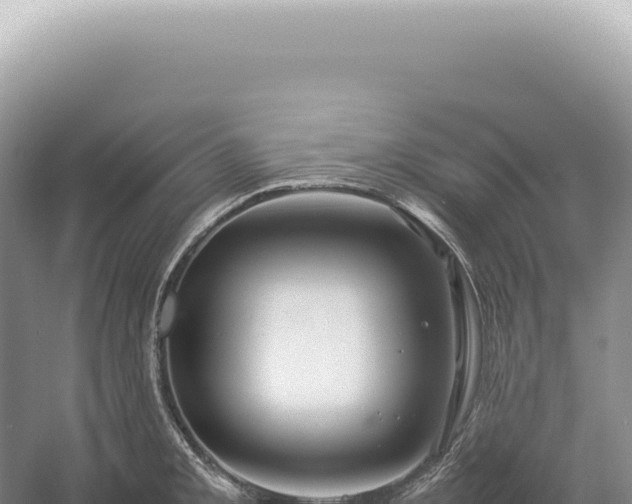 X0000054411093200508051733