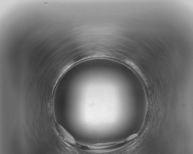 X0000054411097200508051733
