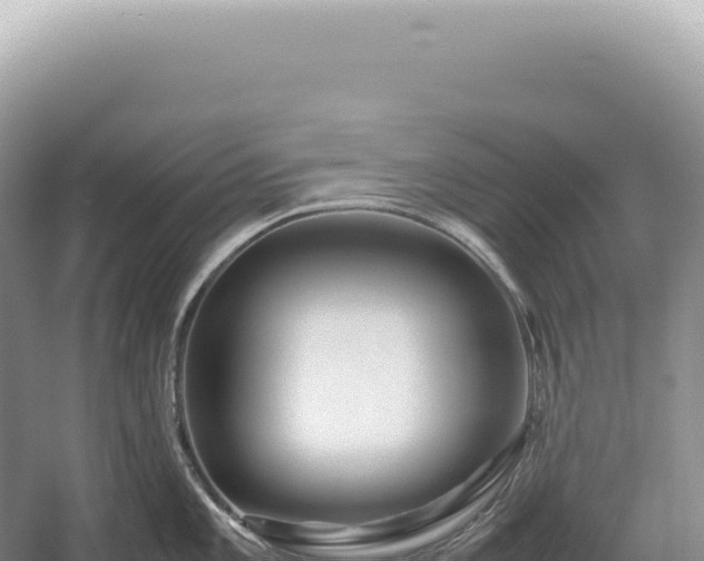 X0000054411101200508051733
