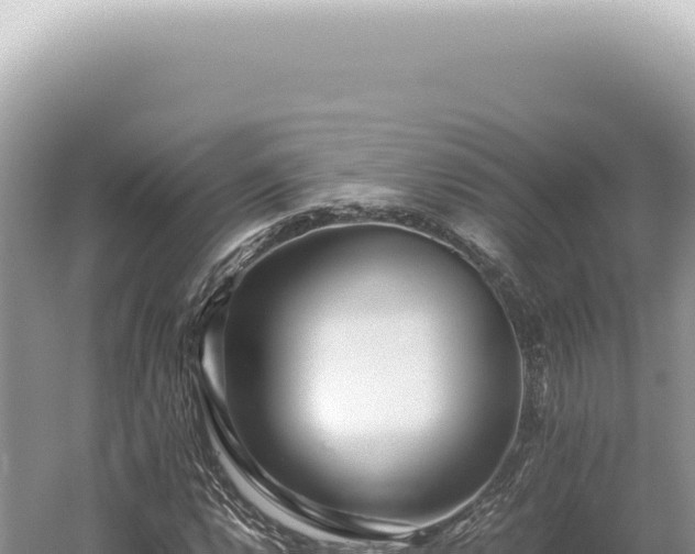 X0000054411112200508051732