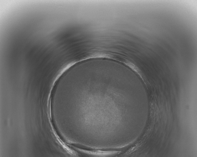 X0000054411127200508051733