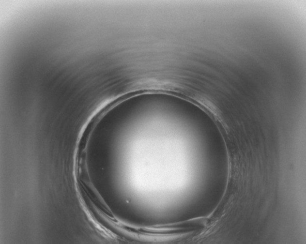 X0000054411128200508051733