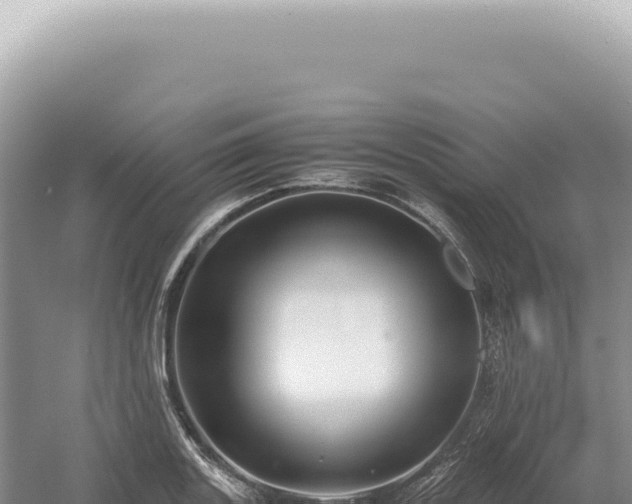 X0000054411131200508051733