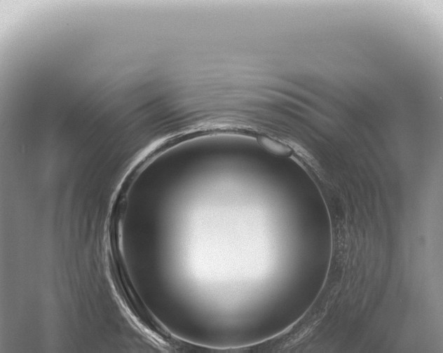 X0000054411134200508051733