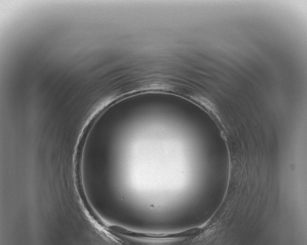 X0000054411135200508051733
