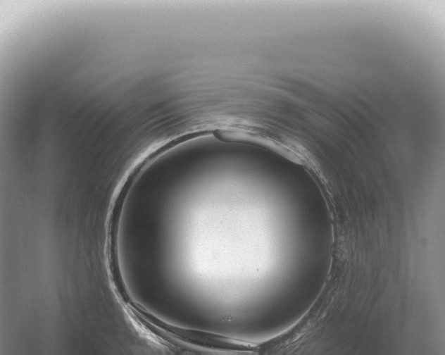 X0000054411136200508051733