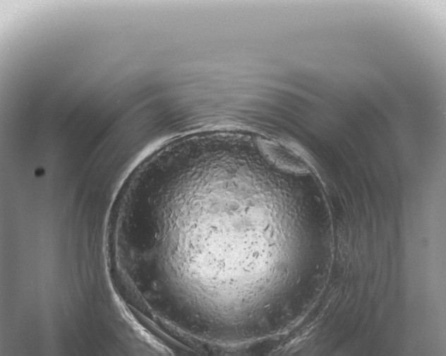 X0000054411142200508051733