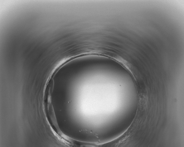 X0000054411143200508051733