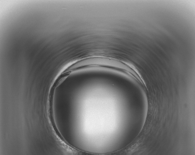 X0000054411147200508051733