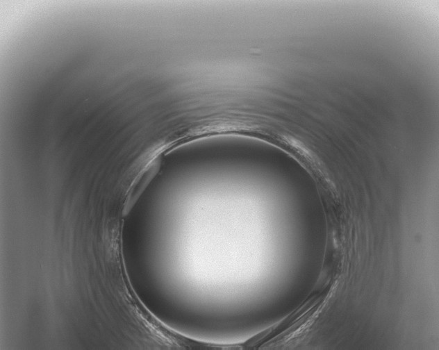 X0000054411185200508051732