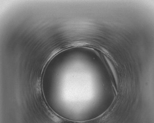 X0000054411186200508051732