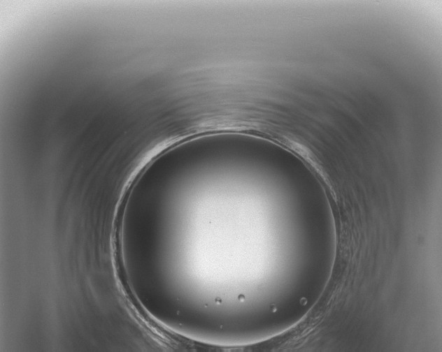 X0000054411187200508051732