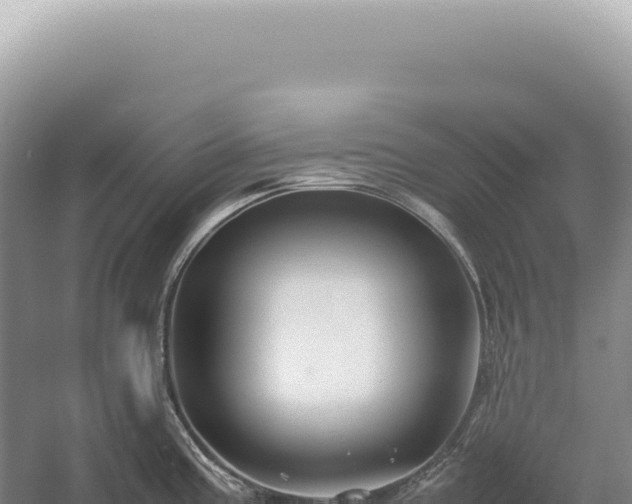 X0000054411195200508051731