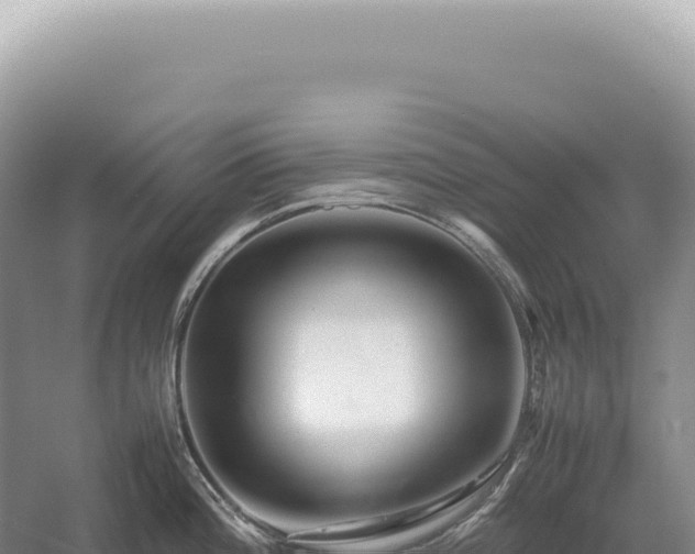 X0000054411196200508051731