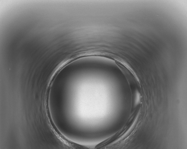 X0000054411197200508051731
