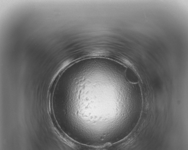 X0000054411227200508051731