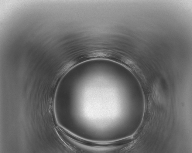 X0000054411233200508051731