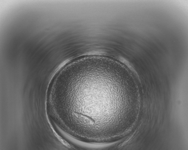 X0000054411237200508051731
