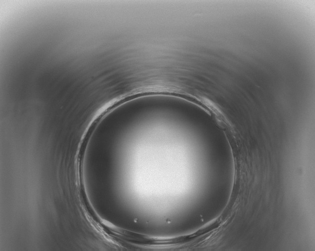 X0000054411238200508051731