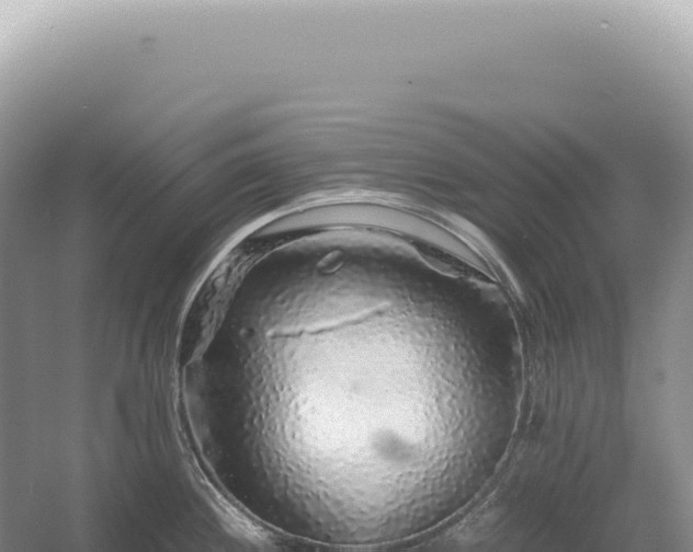 X0000054411244200508051731