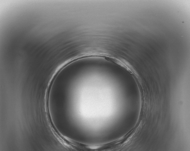 X0000054411246200508051731