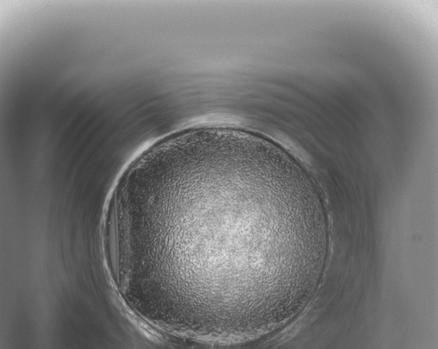 X0000054411248200508051731