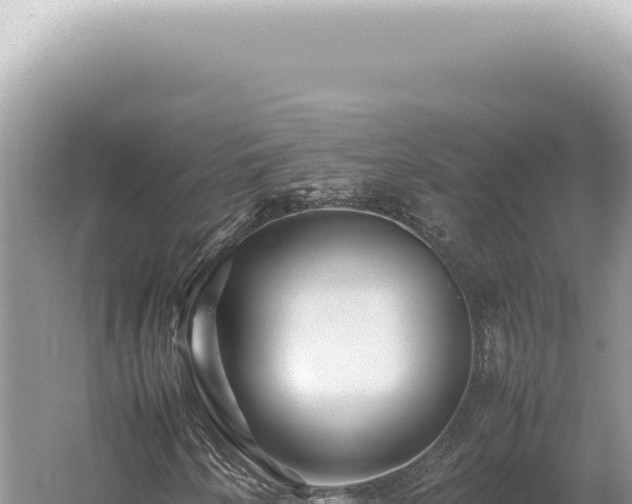 X0000054411250200508051731