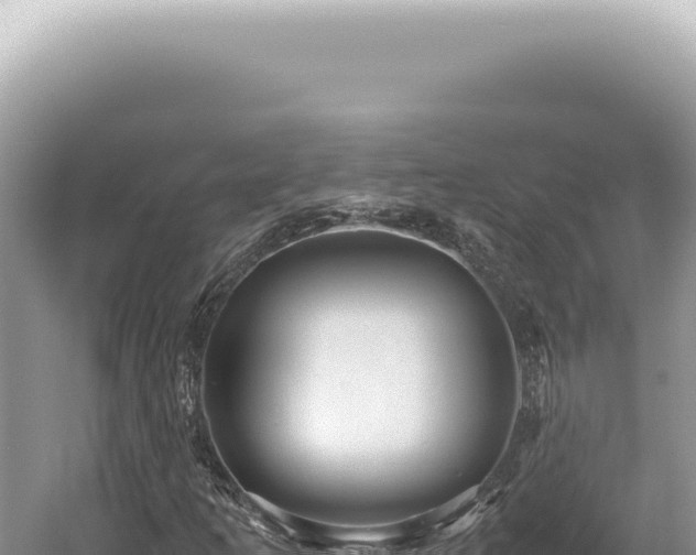 X0000054411253200508051730