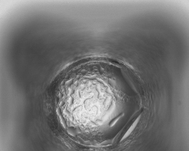 X0000054411255200508051730