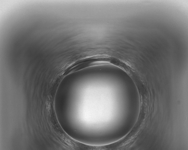 X0000054411257200508051730