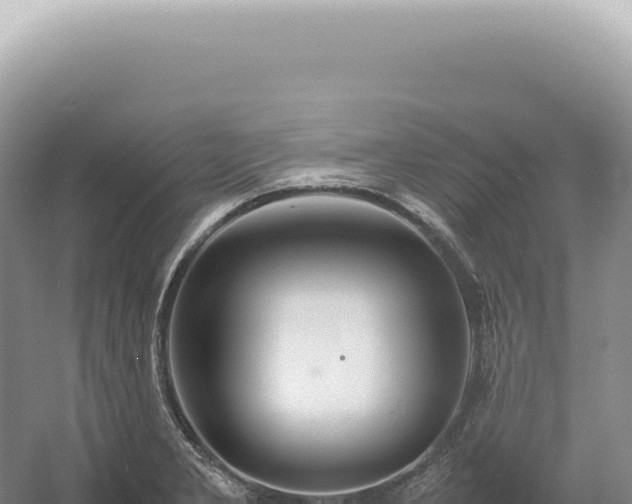 X0000054411277200508051730