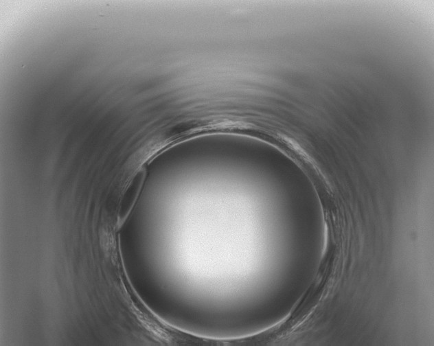 X0000054411281200508051730