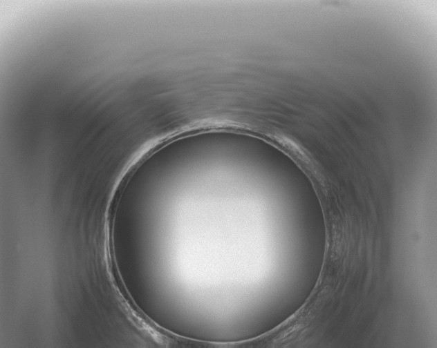 X0000054411286200508051730
