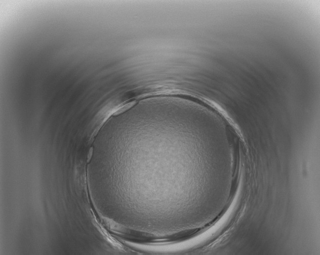 X0000054411289200508051730