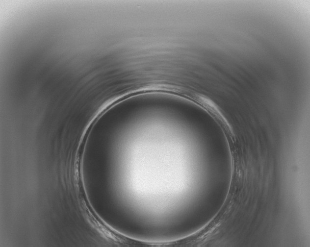 X0000054411292200508051730