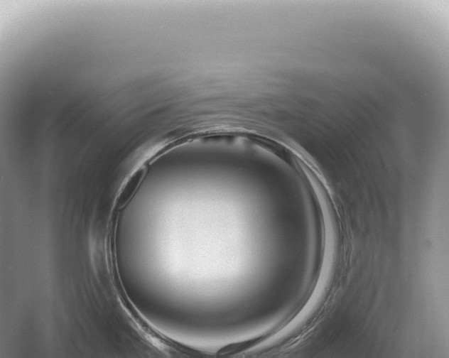 X0000054411293200508051730