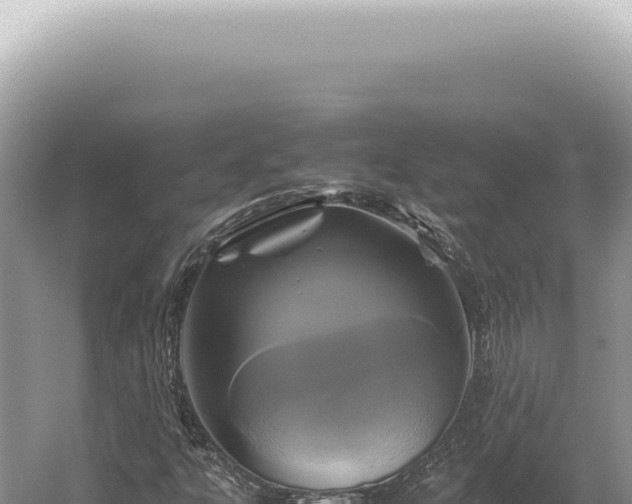 X0000054411303200508051729