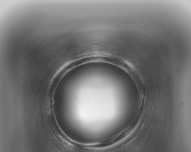X0000054411310200508051729