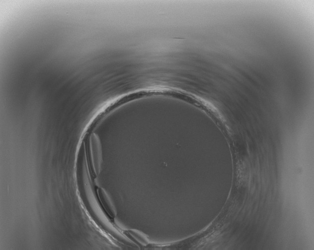 X0000054411327200508051729